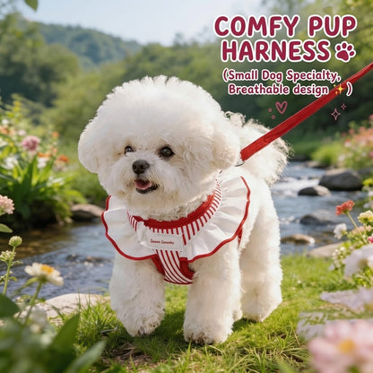 Striped Harness & Leash Set – Red
