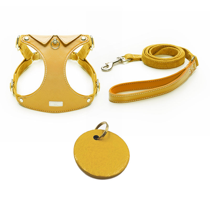 Shirt Collar Harness & Leash Set
