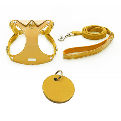 Shirt Collar Harness & Leash Set