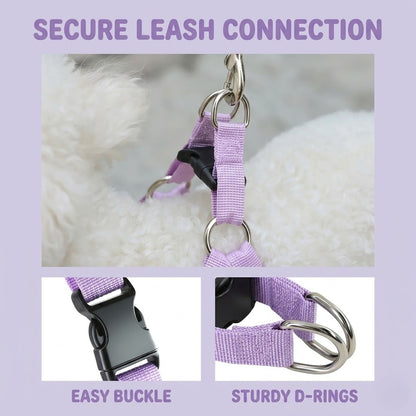 Reflective Mesh Harness & Leash Set