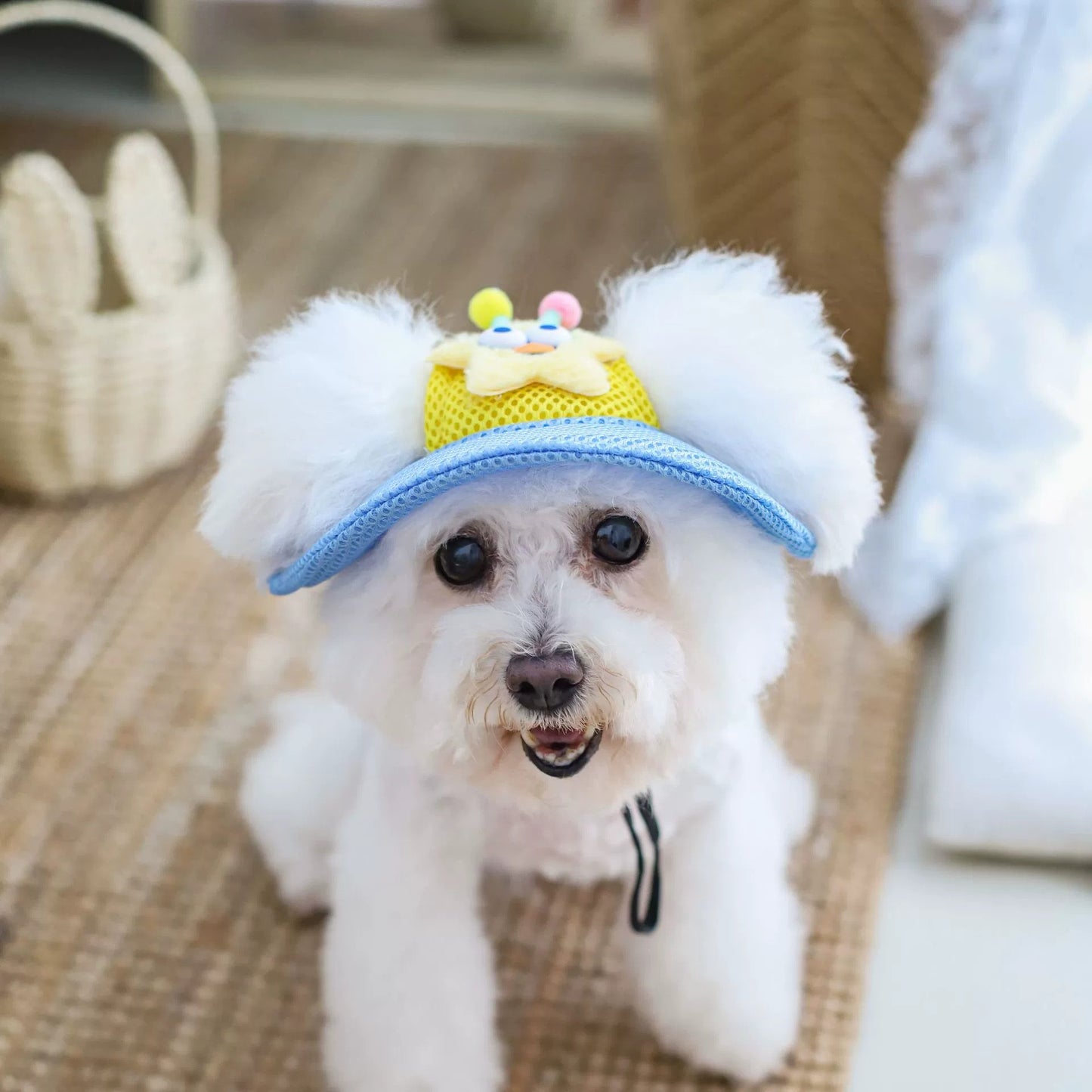 Cartoon Star Mesh Dog Hat