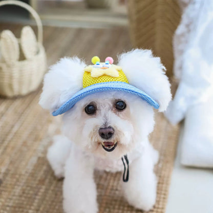 Cartoon Star Mesh Dog Hat
