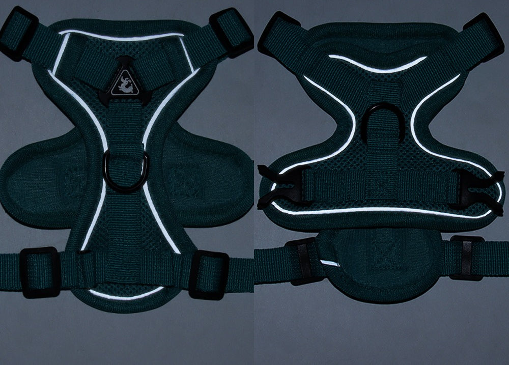 Reflective Mesh Harness & Leash Set