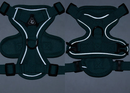 Reflective Mesh Harness & Leash Set