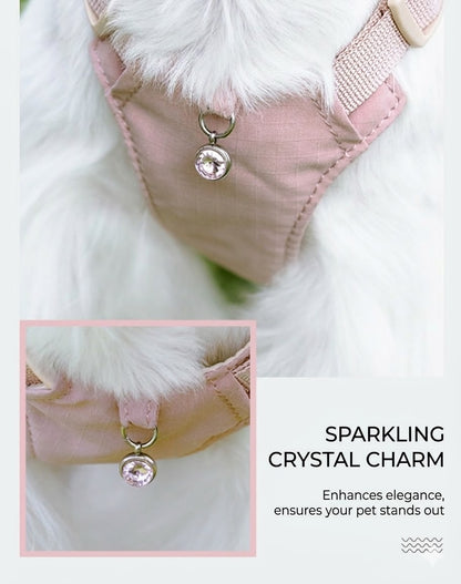 Lightweight Harness & Leash Set