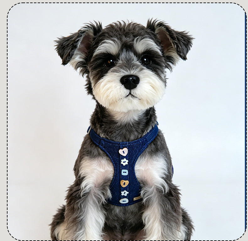 Denim Harness & Leash Set – Blue