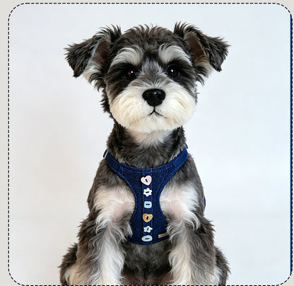 Denim Harness & Leash Set – Blue