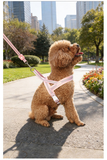 Reflective Mesh Harness & Leash Set