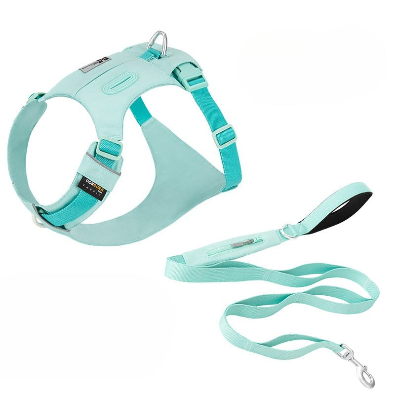 Hidden Pocket Harness & Leash Set