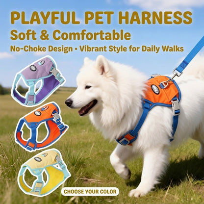 Lightweight Mesh Harness & Leash Set