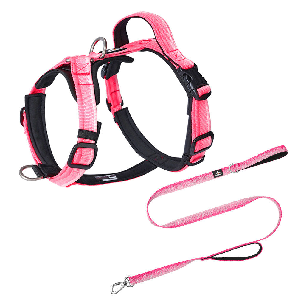 Gradient Harness & Leash Set