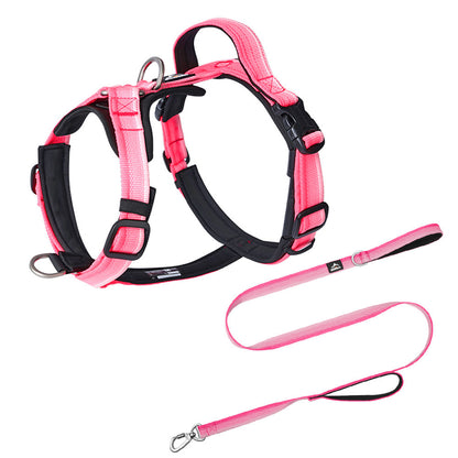 Gradient Harness & Leash Set