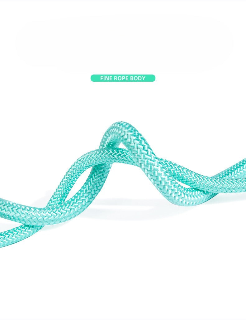 Braided Sponge Handle Dog Leash