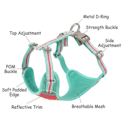 Reflective Mesh Harness & Leash Set