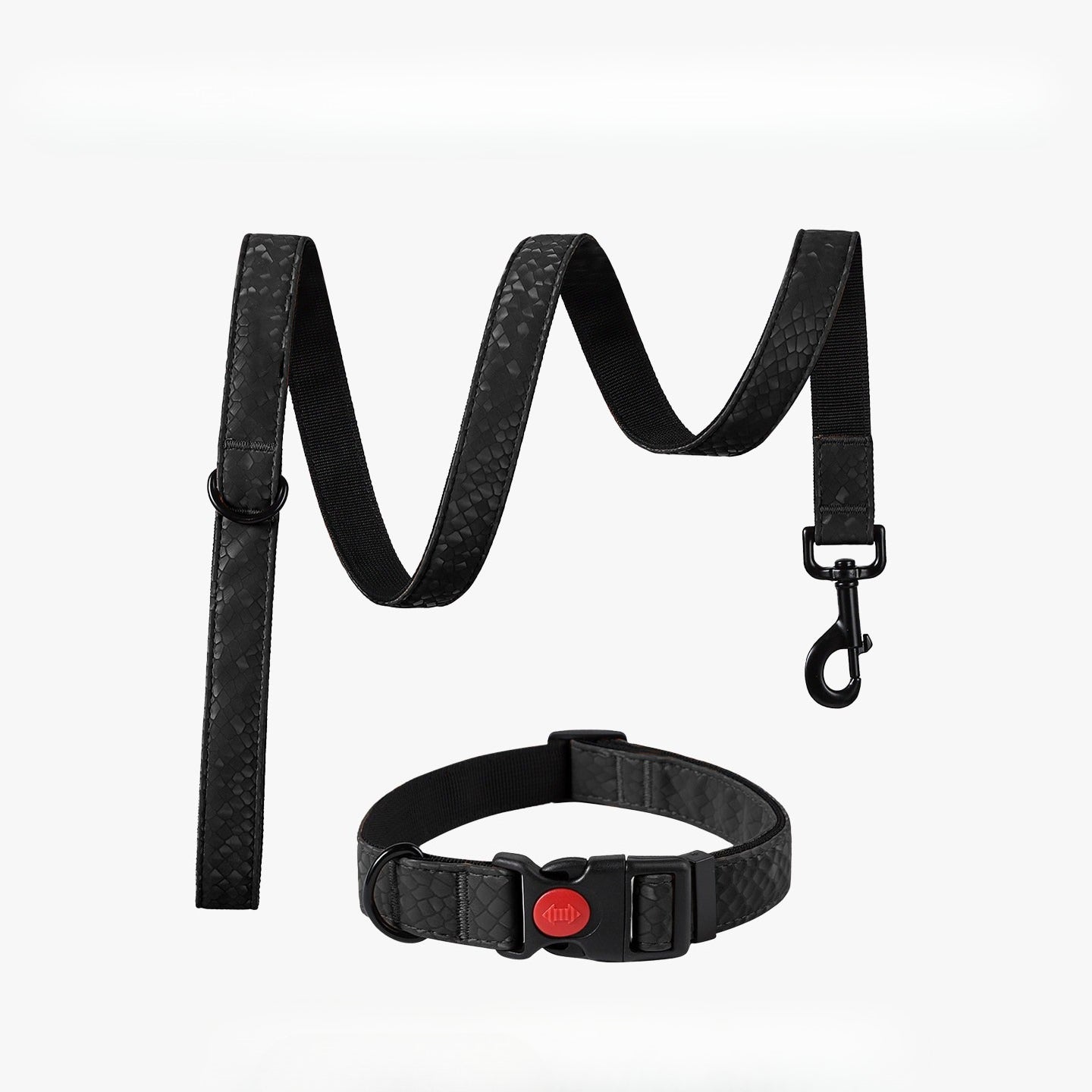 Snake Pattern Collar & Leash Set