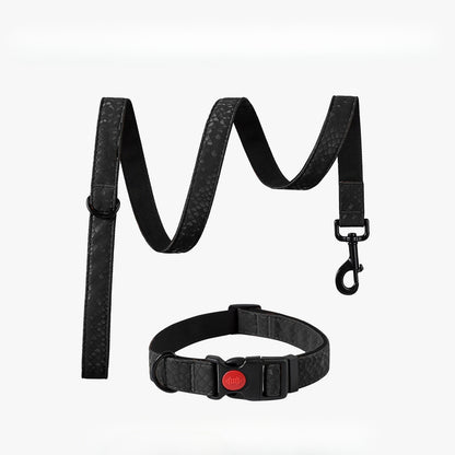 Snake Pattern Collar & Leash Set