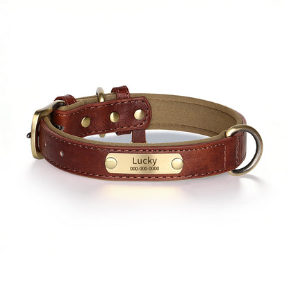Personalized Dog Collar & Leash Set