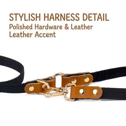 Checkered Harness & Leash Set