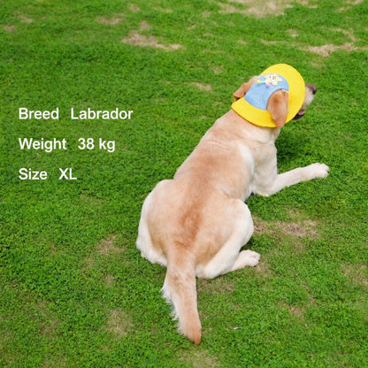 Cartoon Star Mesh Dog Hat