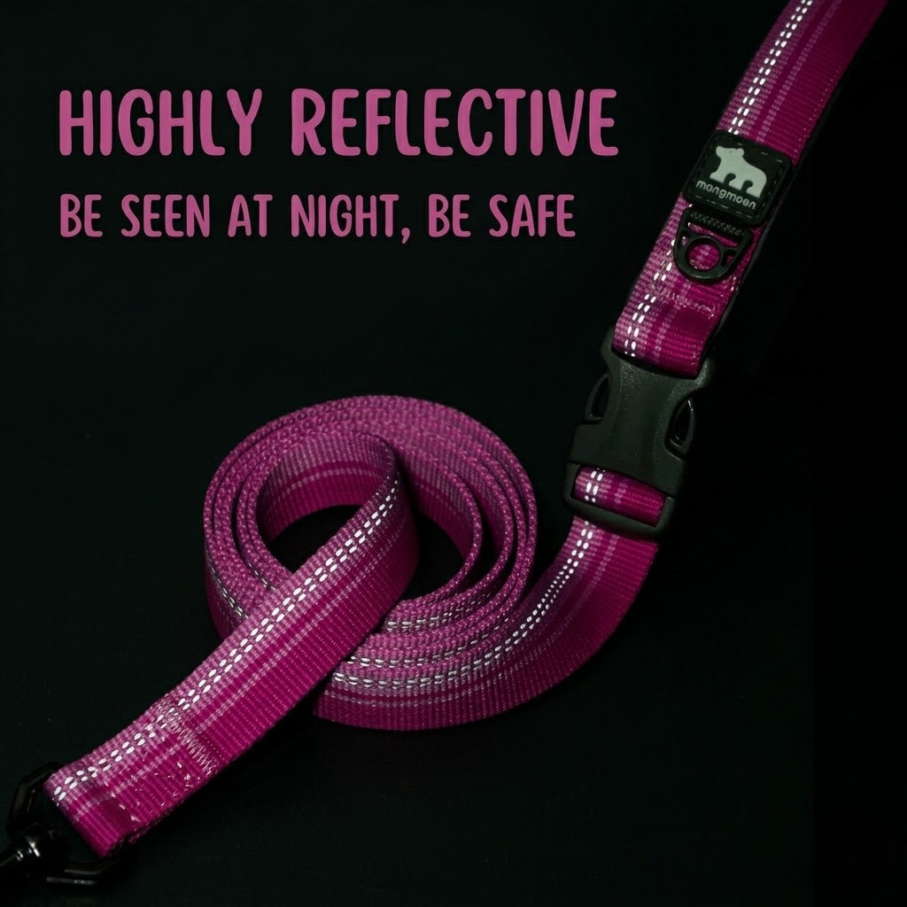 Multi-functional Reflective Dog Leash
