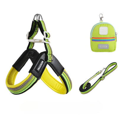 Rainbow V-Shaped Harness & Leash Set