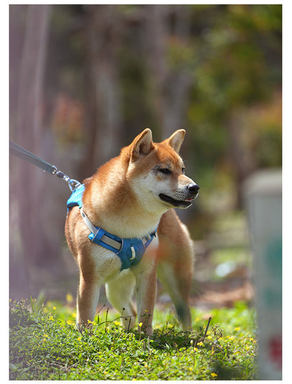 Hidden Pocket Harness & Leash Set
