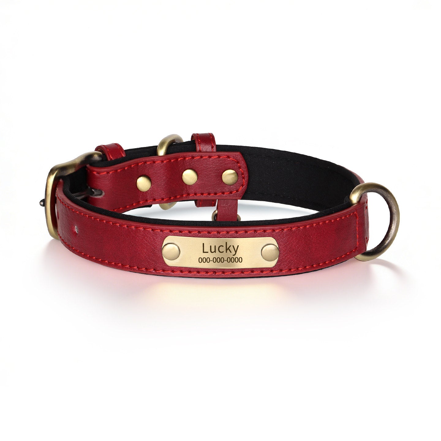 Personalized Dog Collar & Leash Set