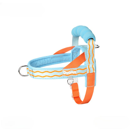 Foam Handle Harness & Leash Set