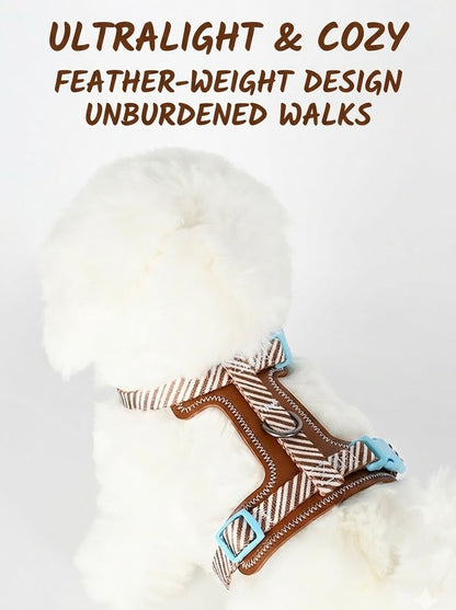 Striped Harness & Leash Set – Brown