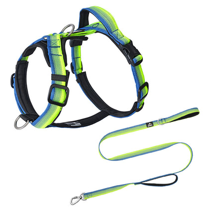 Gradient Harness & Leash Set