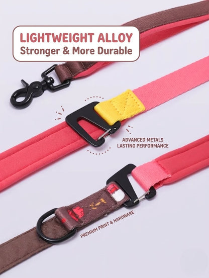 Multi-functional  Dog Leash