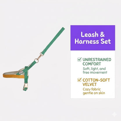 Lightweight Quick-Wear Harness & Leash Set