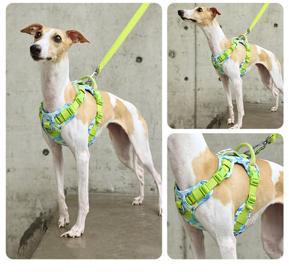 Reflective Patterned Dog Harness