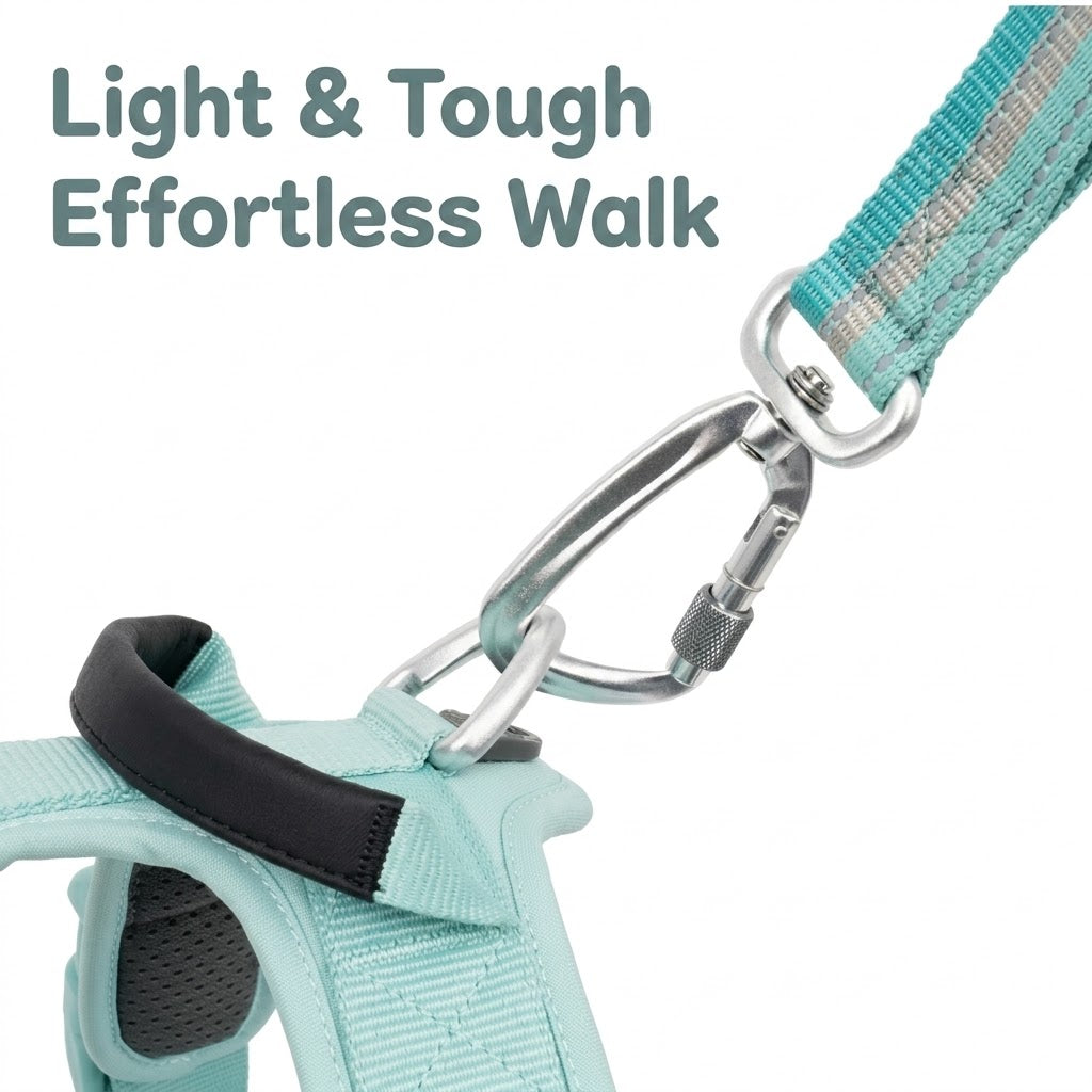 Reflective Adjustable Dog Leash