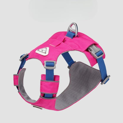 Lightweight Breathable Harness & Leash Set