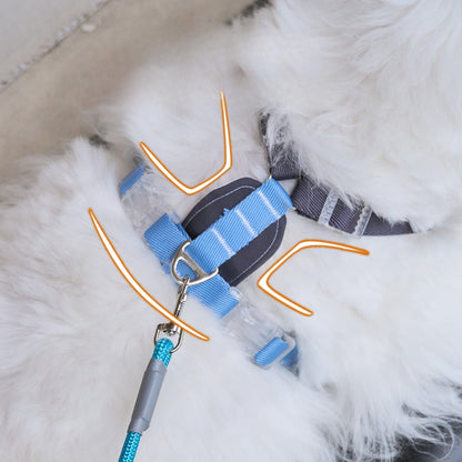 Sports Print Harness & Leash Set