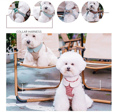 Plaid Harness & Leash Set