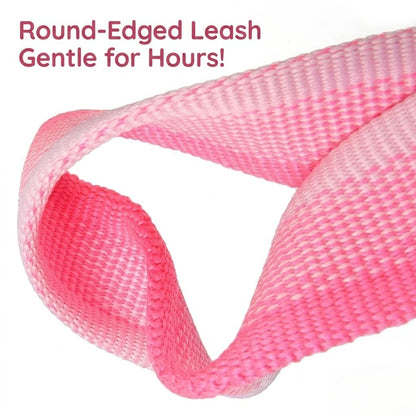 Gradient Dual-Handle Dog Leash