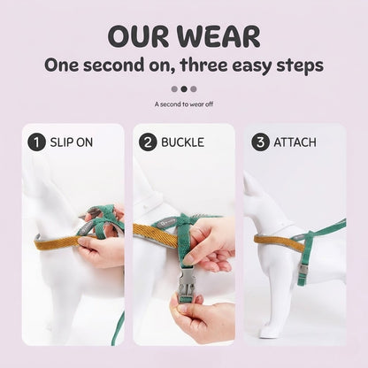 Lightweight Quick-Wear Harness & Leash Set
