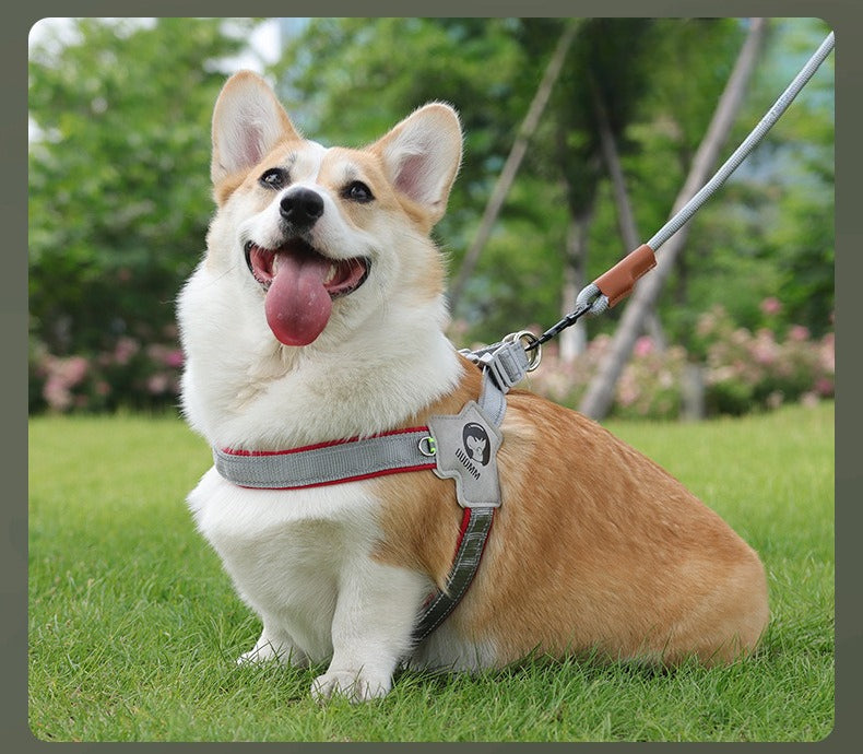 Reflective Y-Shaped Dog Harness