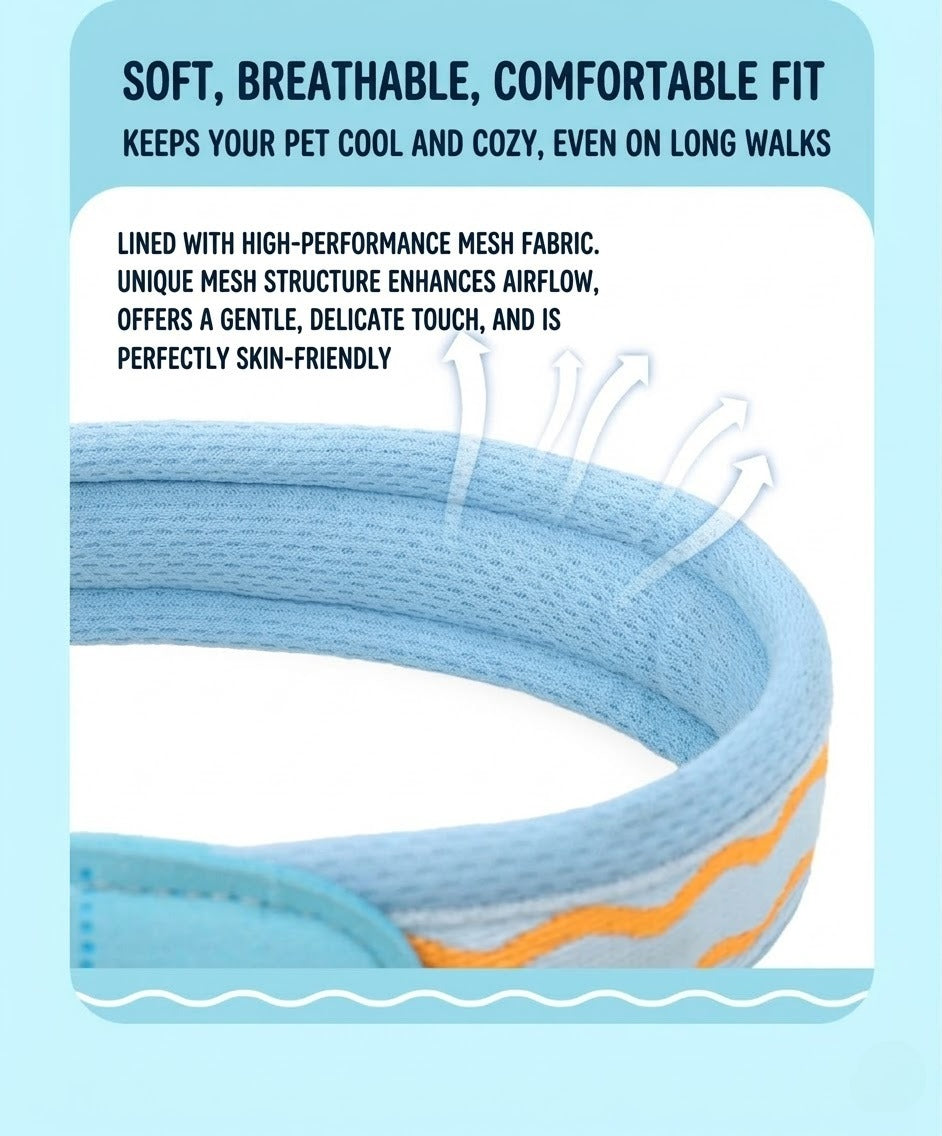 Wave Pattern Harness & Leash Set