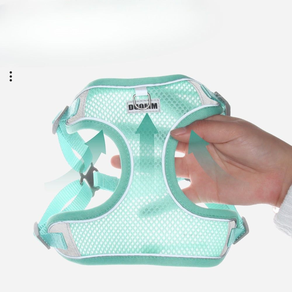 Breathable Mesh Harness & Leash Set
