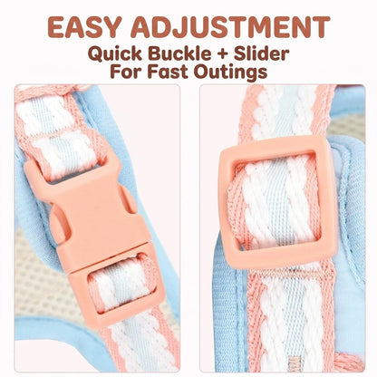 Breathable Y-Shape Harness & Leash Set