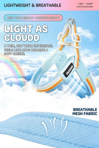 Rainbow V-Shaped Harness & Leash Set