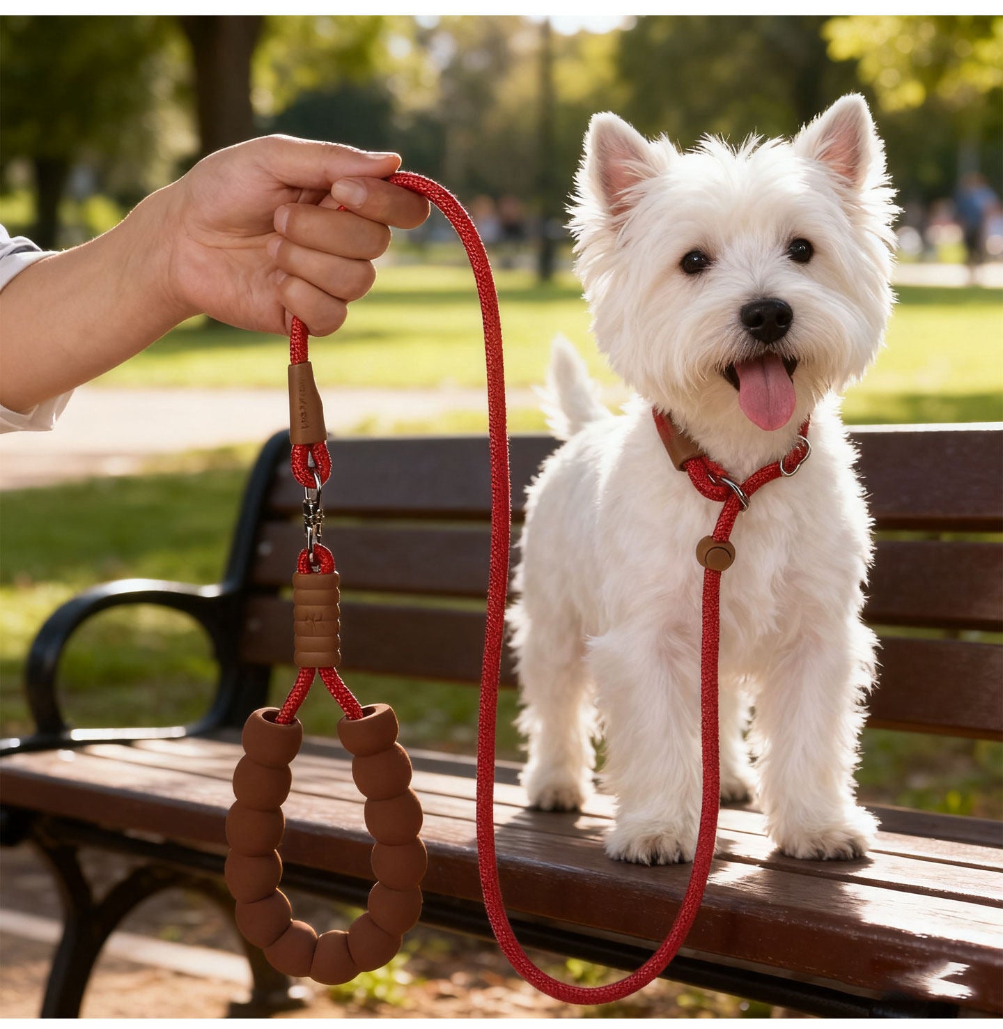 Foam Handle Dog Slip Leash