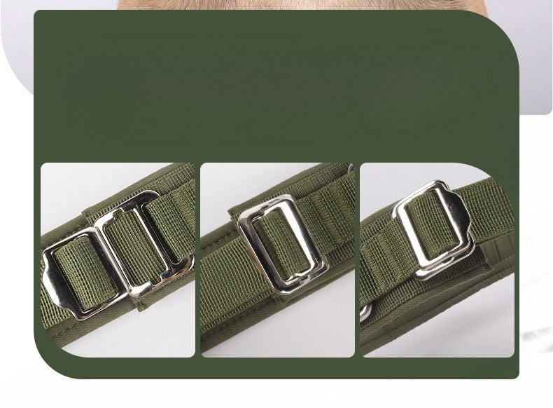 Tactical Rivet Dog Collar