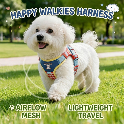 Plaid Bear Harness & Leash Set