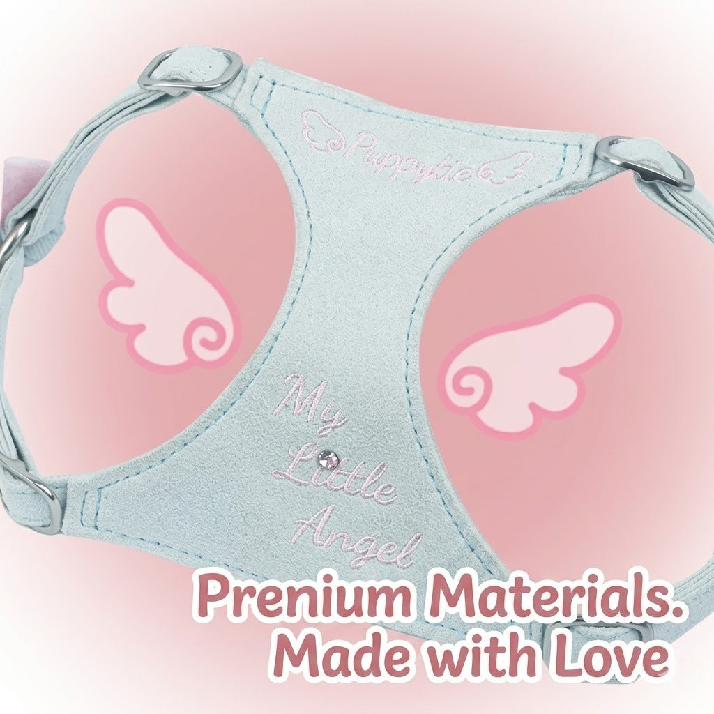Angel Wing Harness & Leash Set