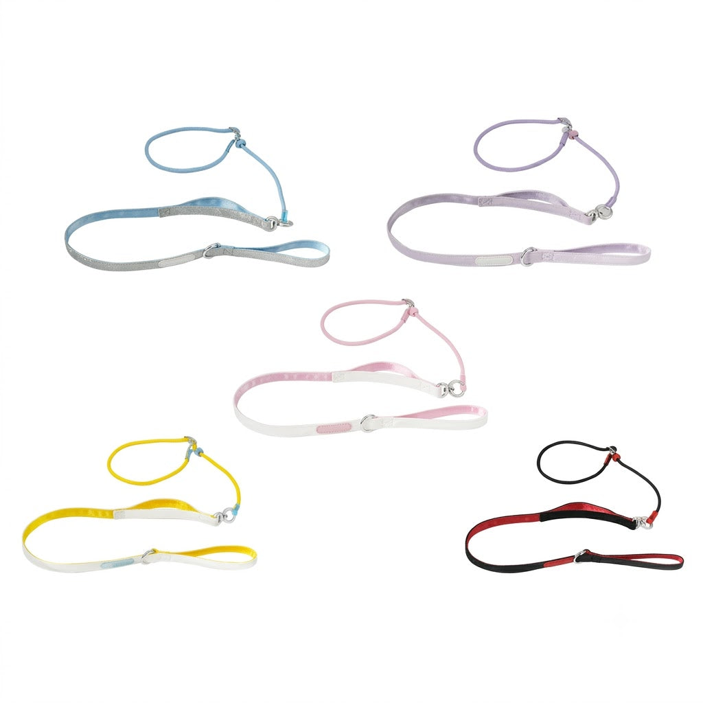 Dual Handle Training Dog Leash