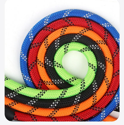 Reflective Multi-Dog Leash